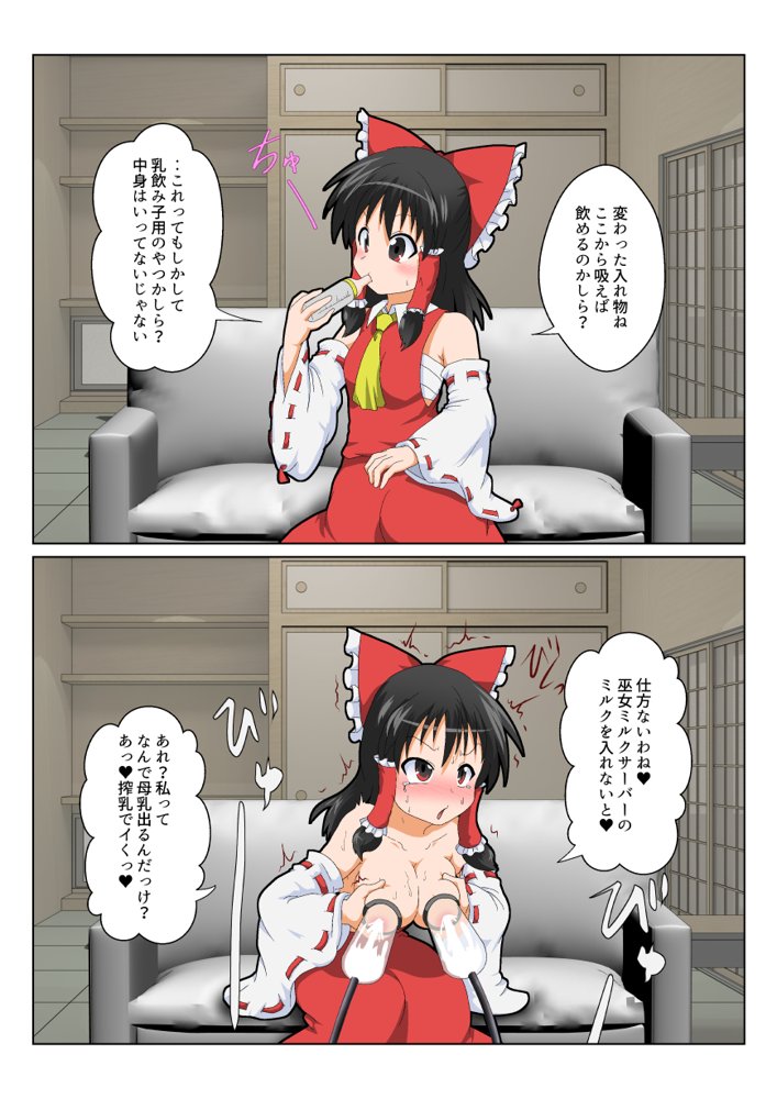 博麗霊夢で不思議なおもちゃで特殊性癖カタログ エロ同人誌画像 013