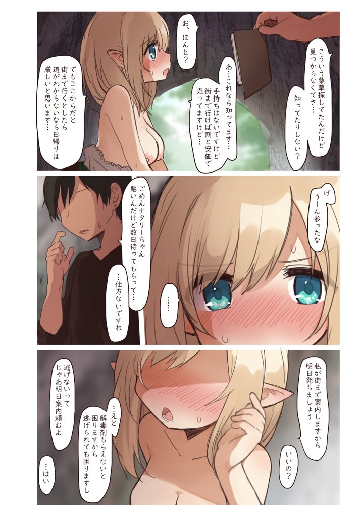 エルフの住む森。シリーズ 総集編 エロ同人誌画像 028