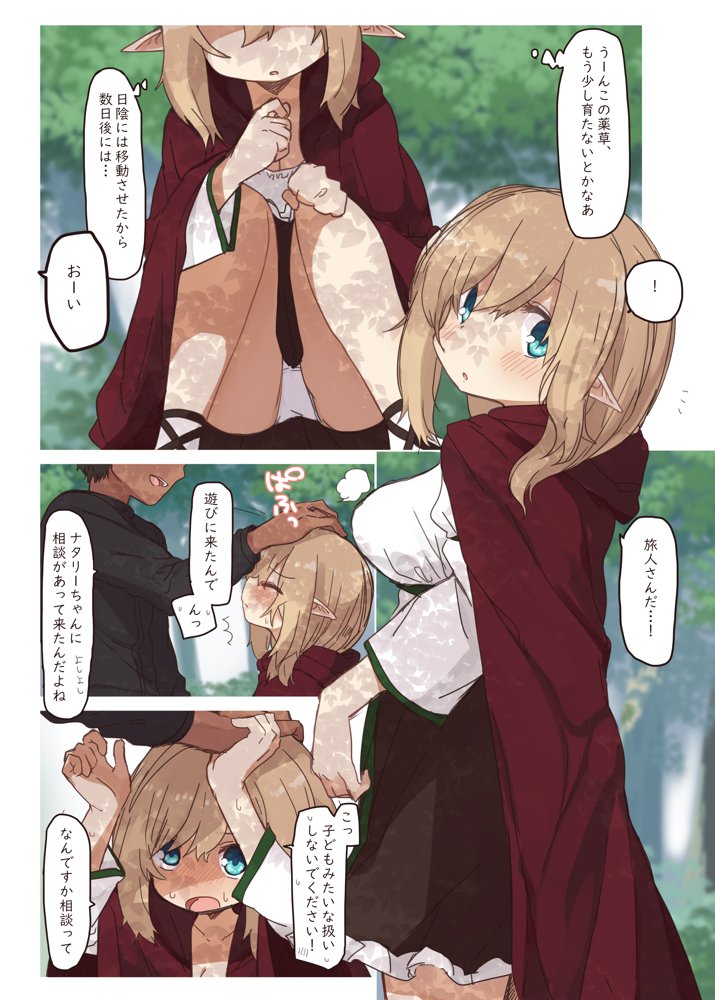 エルフの住む森。シリーズ 総集編 エロ同人誌画像 043