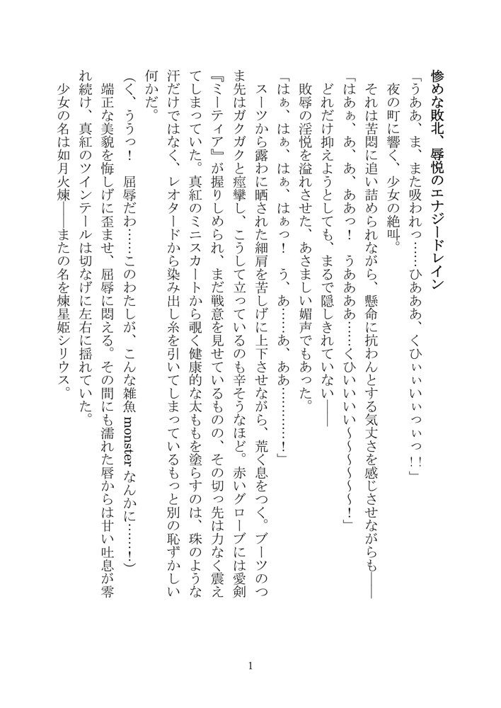 UnDefeated Sirius エロ同人誌画像 002