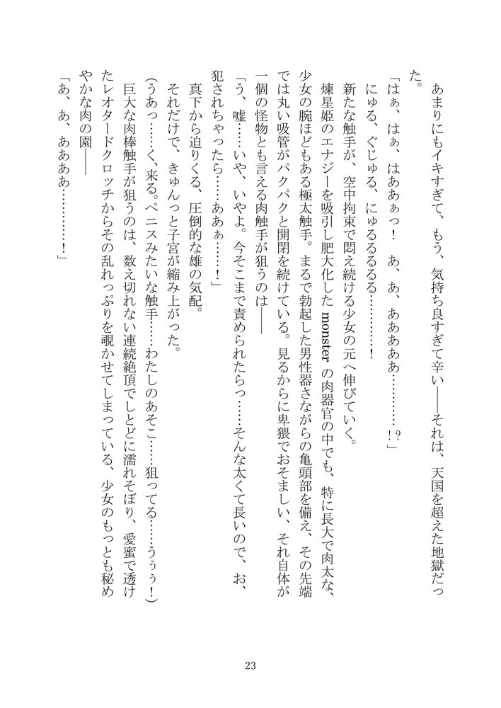UnDefeated Sirius エロ同人誌画像 024