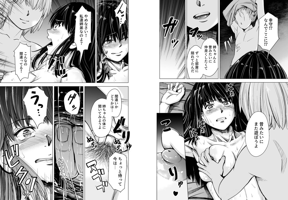 もう、姉として認識できない。 エロ同人誌画像 010