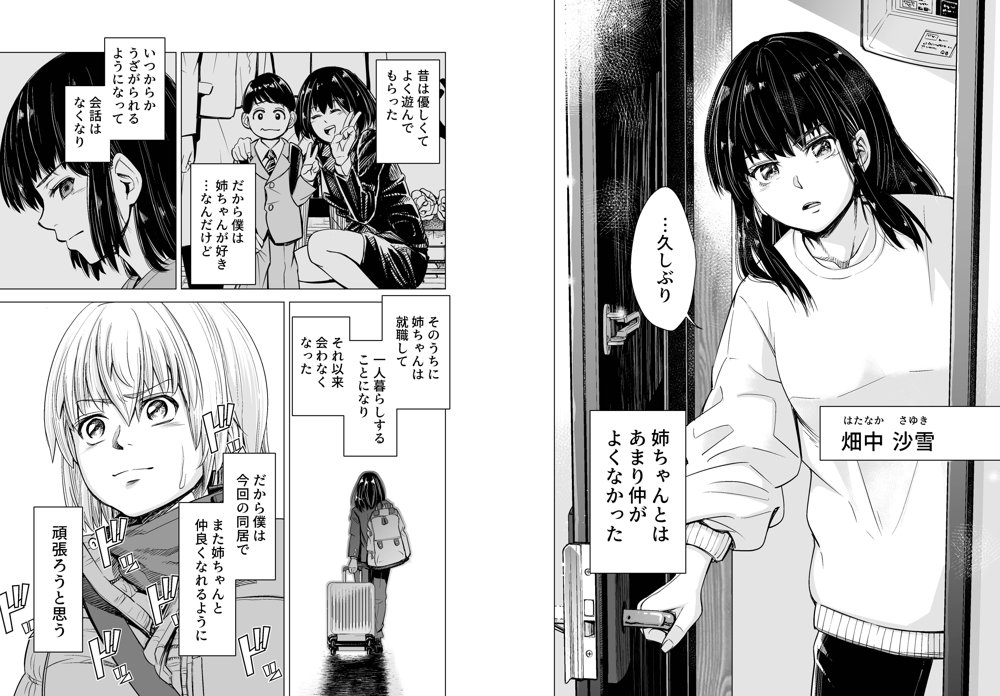 もう、姉として認識できない。 エロ同人誌画像 003