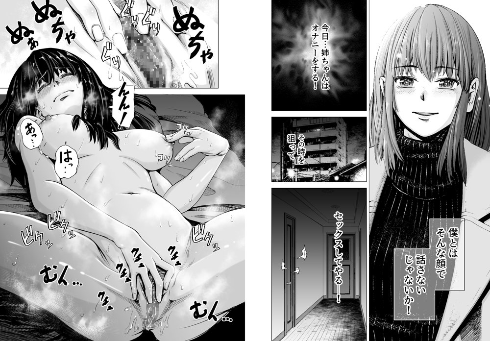 もう、姉として認識できない。 エロ同人誌画像 008