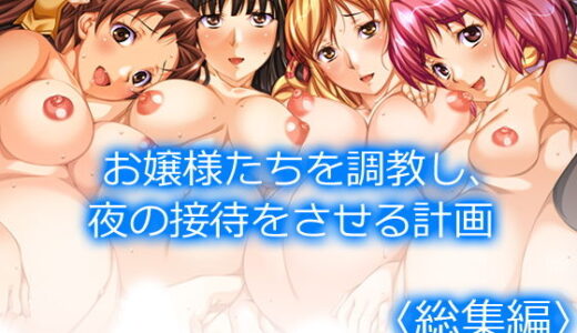 お嬢様たちを調教し、夜の接待をさせる計画 ＜総集編＞