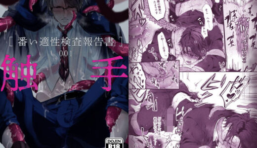 触手［番い適性検査報告書］001