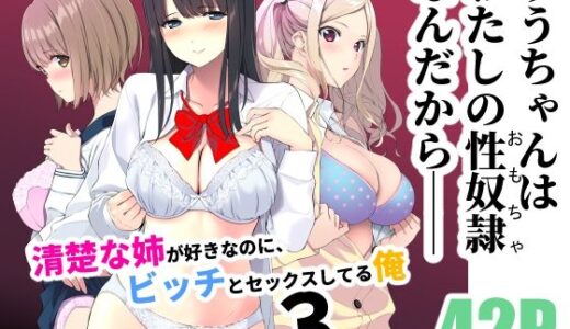清楚な姉が好きなのに、ビッチとセックスしてる俺3