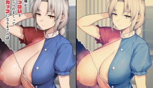 永琳がおっぱいをいじられまくってPカップになるまでの話