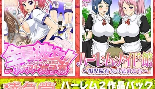 ハーレムシリーズ2作品パック