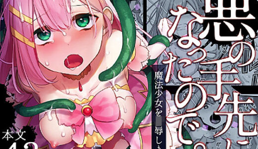 悪の手先になったので。〜魔法少女を凌●します〜
