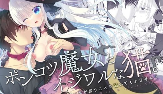 ポンコツ魔女とイジワルな猫。-召喚した使い魔が言うことを聞いてくれません！-
