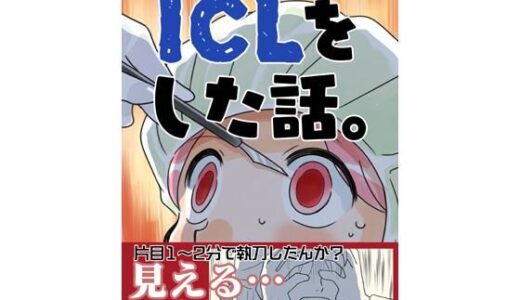 ICLをした話。
