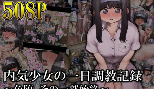 内気少女の一日調教記録 〜色堕、その一部始終〜