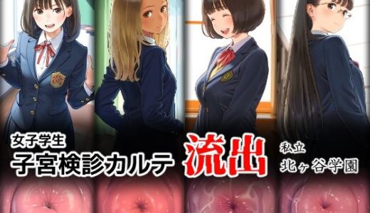 女子学生 子宮検診カルテ流出 ―私立 北ヶ谷学園―
