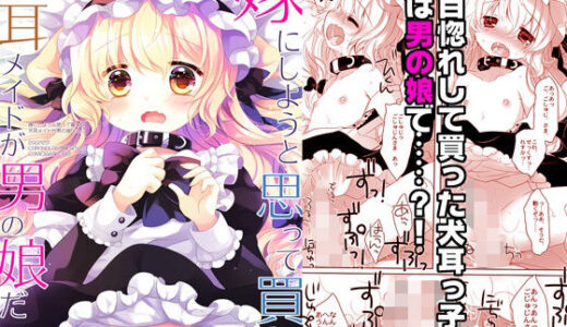 嫁にしようと思って買った犬耳メイドが男の娘だった