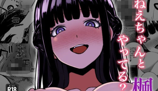 ねえちゃんとやってる？〜明るく清楚な楓姉〜