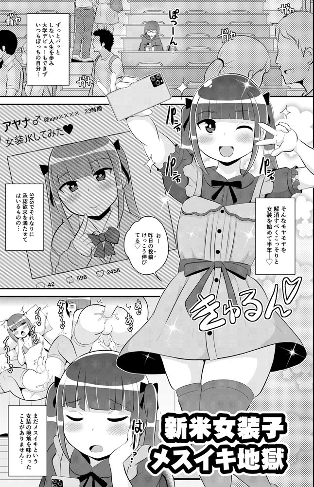 チンズリーナ調教メス堕ち作品集 エロ同人誌画像 003