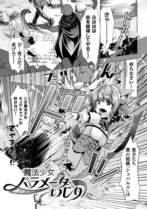 魔法少女が堕ちるまで エロ画像 033