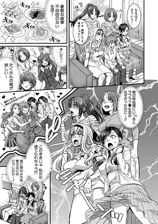 四姉妹は弟とハーレムしたい！【電子版特典付き】 エロ画像 004