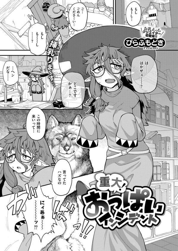 コミックカイエン（快艶） VOL.25 エロ画像 013
