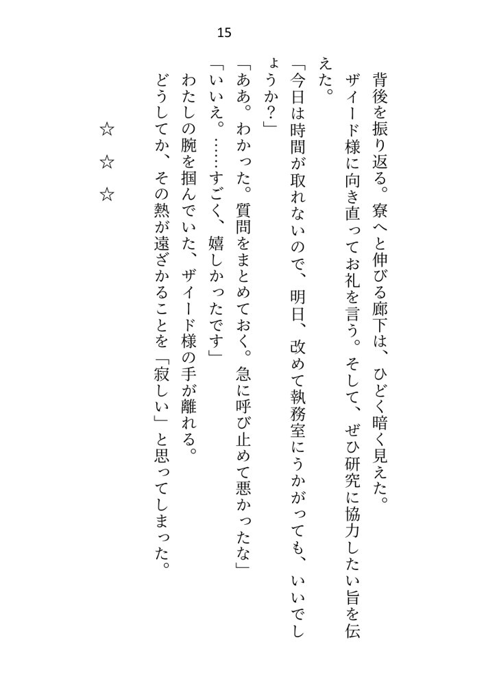 王子＆大魔法使い様と義務でセックスしてた召還聖女ですが世界を救ったのち、逃げてしまいました エロ同人誌画像 007