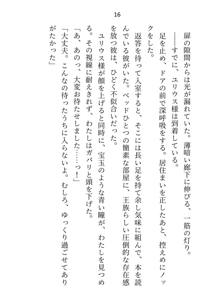 王子＆大魔法使い様と義務でセックスしてた召還聖女ですが世界を救ったのち、逃げてしまいました エロ同人誌画像 008