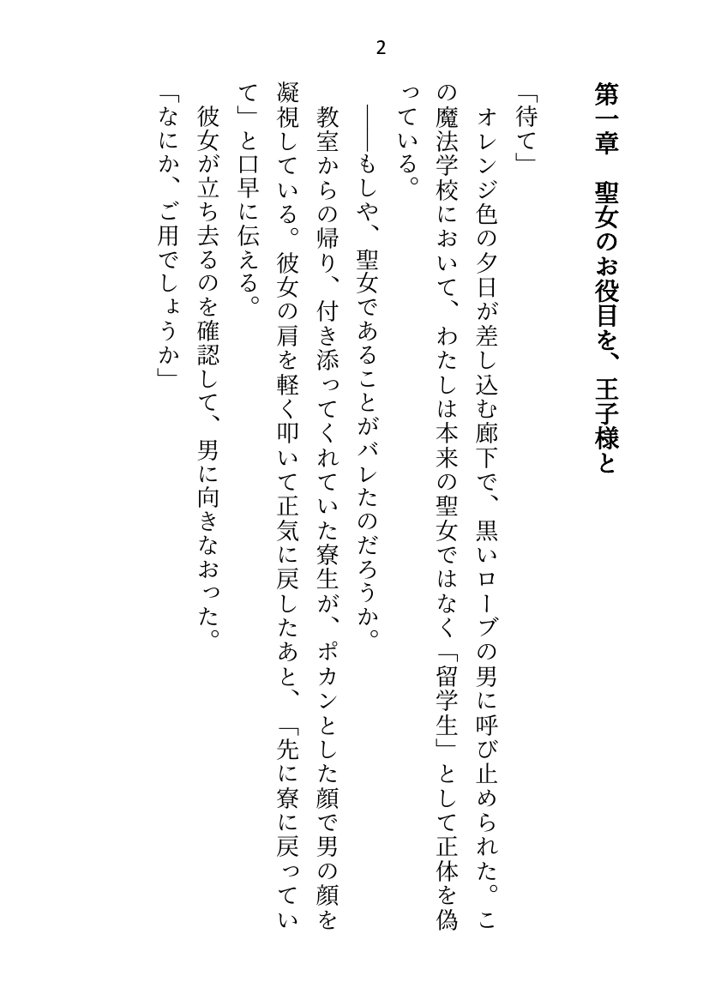 王子＆大魔法使い様と義務でセックスしてた召還聖女ですが世界を救ったのち、逃げてしまいました エロ同人誌画像 012