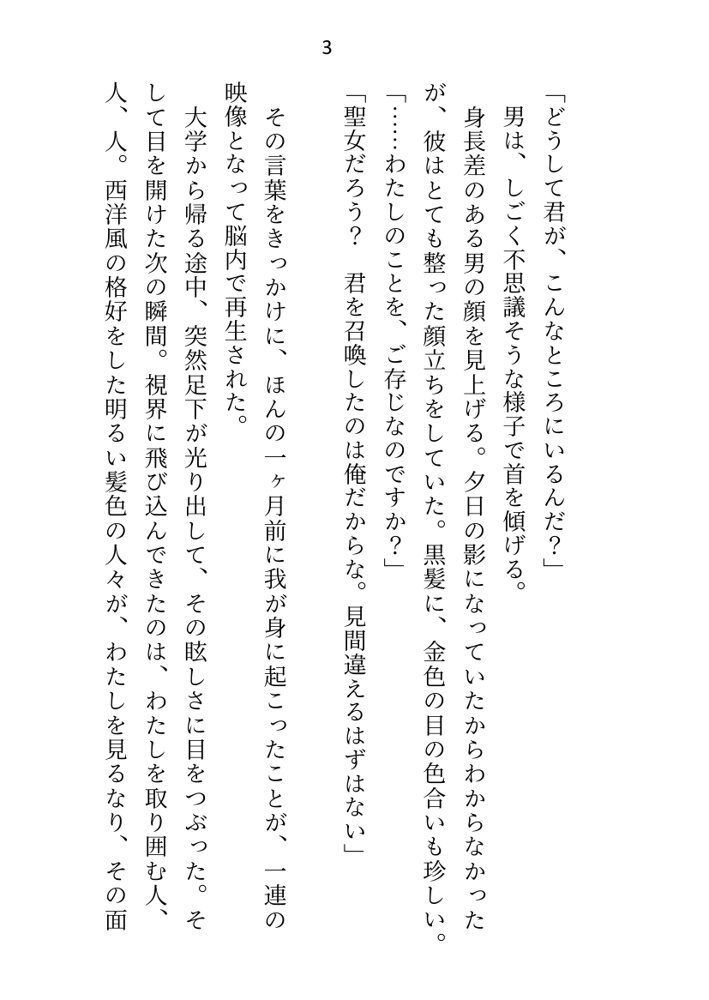 王子＆大魔法使い様と義務でセックスしてた召還聖女ですが世界を救ったのち、逃げてしまいました エロ同人誌画像 023
