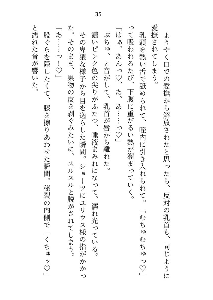 王子＆大魔法使い様と義務でセックスしてた召還聖女ですが世界を救ったのち、逃げてしまいました エロ同人誌画像 029