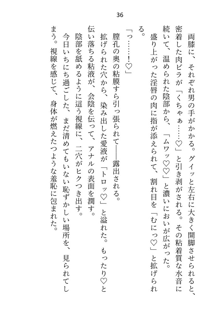 王子＆大魔法使い様と義務でセックスしてた召還聖女ですが世界を救ったのち、逃げてしまいました エロ同人誌画像 030