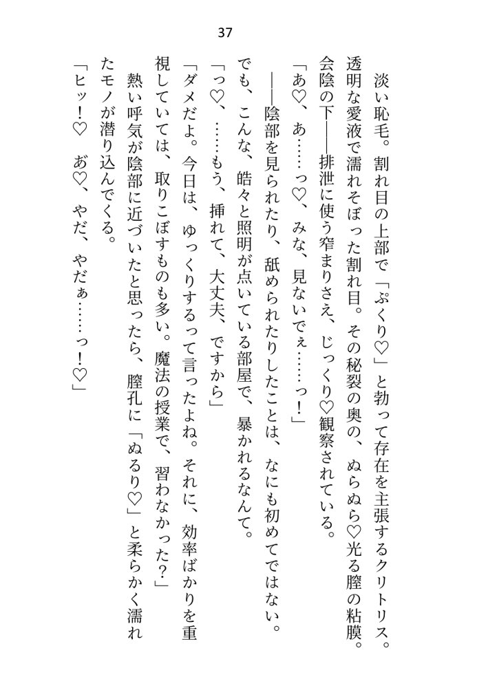 王子＆大魔法使い様と義務でセックスしてた召還聖女ですが世界を救ったのち、逃げてしまいました エロ同人誌画像 031