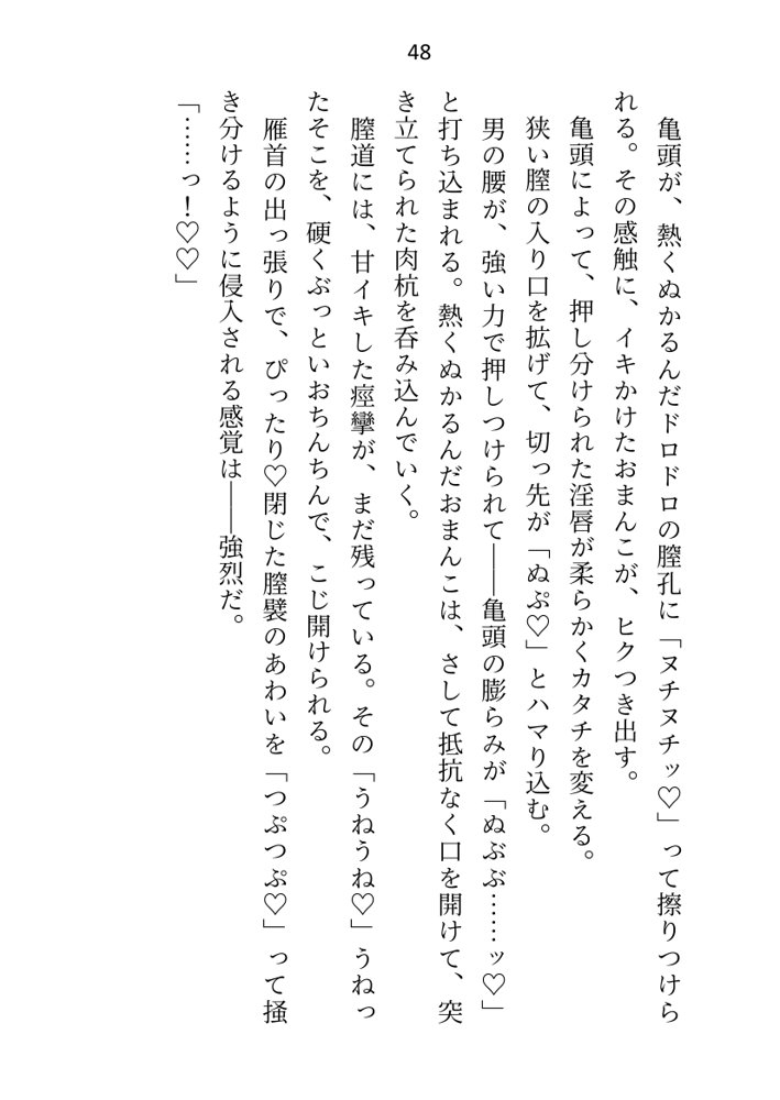 王子＆大魔法使い様と義務でセックスしてた召還聖女ですが世界を救ったのち、逃げてしまいました エロ同人誌画像 043