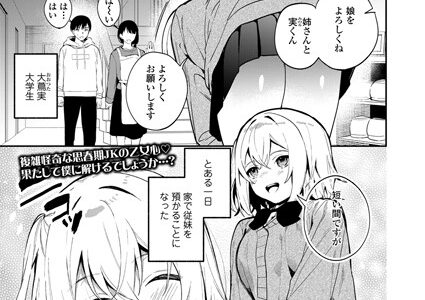 いとことひみつとおべんきょう