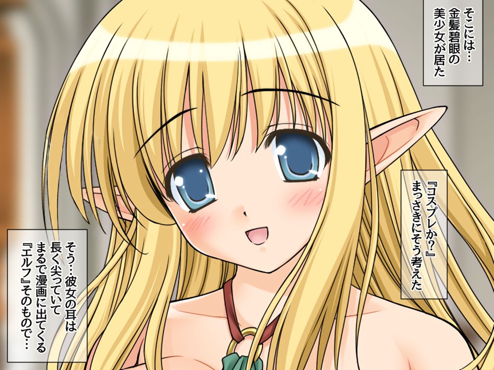 異世界援交総集編 援交爆乳エルフと姫様を俺ひとりで輪●して嫁にしました エロ同人誌画像 018