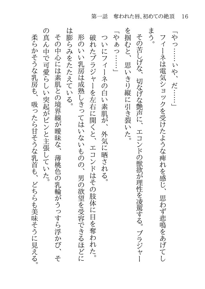 捕らわれの聖女〜無垢なヒロインは敵司令官に抱き潰され快楽の日々に堕ちる〜 エロ同人誌画像 002