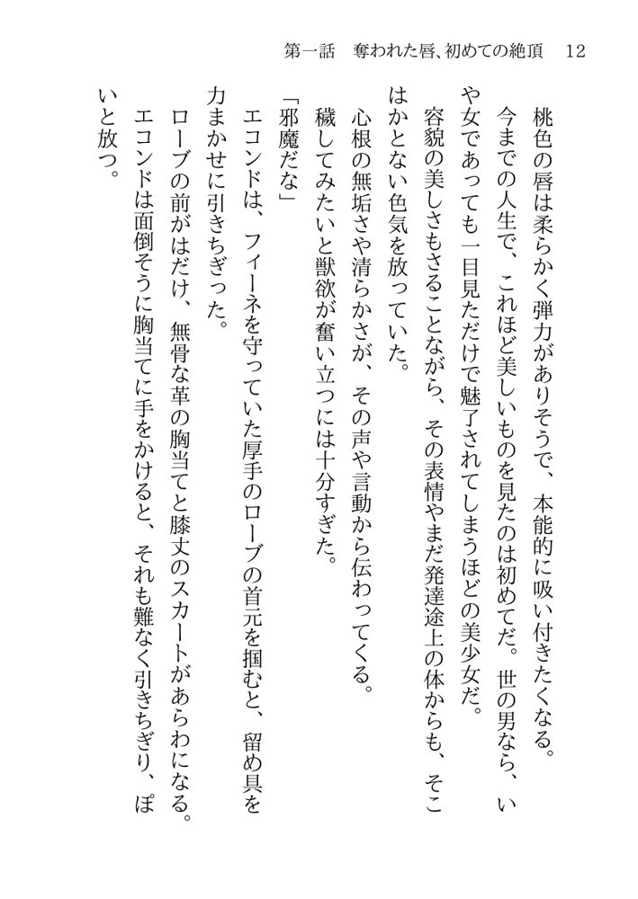 捕らわれの聖女〜無垢なヒロインは敵司令官に抱き潰され快楽の日々に堕ちる〜 エロ同人誌画像 022