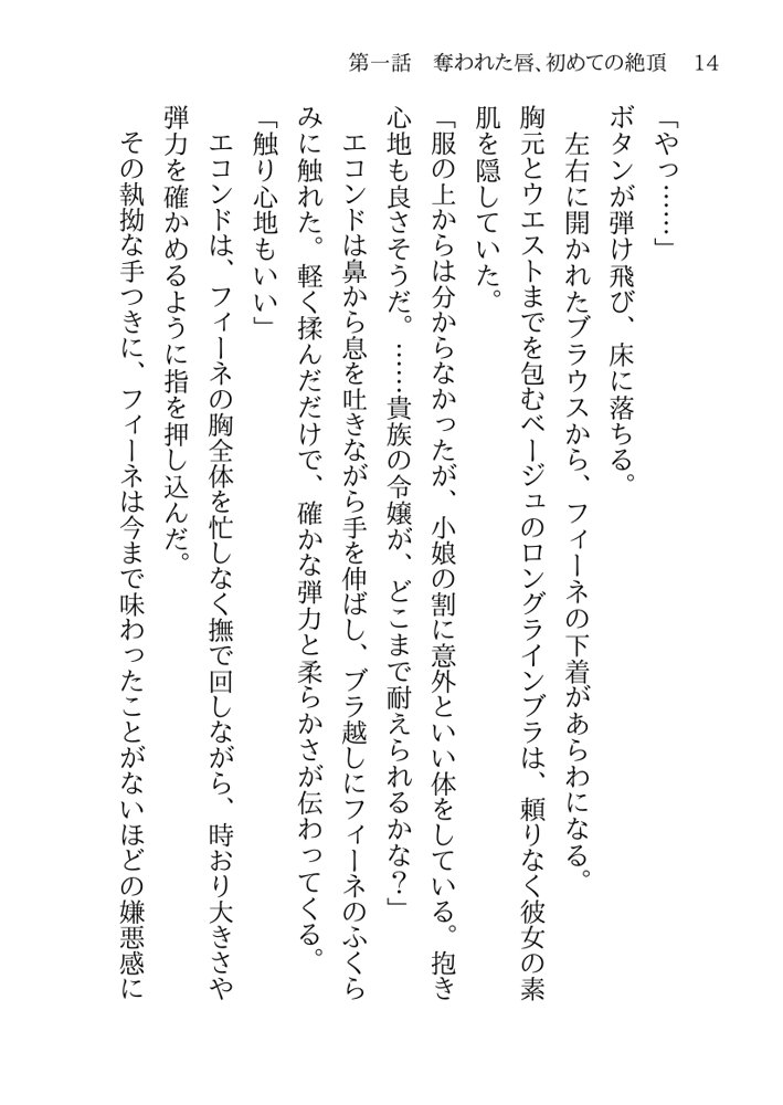 捕らわれの聖女〜無垢なヒロインは敵司令官に抱き潰され快楽の日々に堕ちる〜 エロ同人誌画像 024