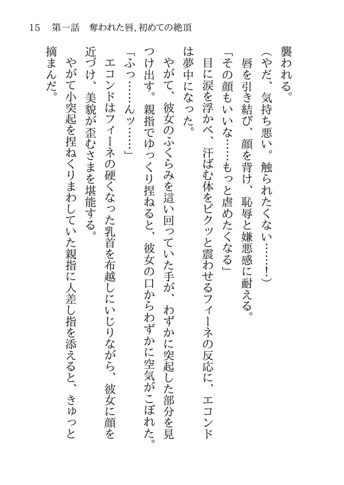 捕らわれの聖女〜無垢なヒロインは敵司令官に抱き潰され快楽の日々に堕ちる〜 エロ同人誌画像 025
