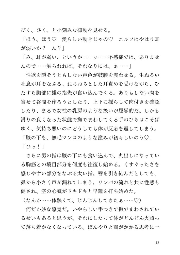 【小説】エルフ騎士様恥辱の御夜伽。絶倫ちんぽに雌伏せん エロ同人誌画像 005