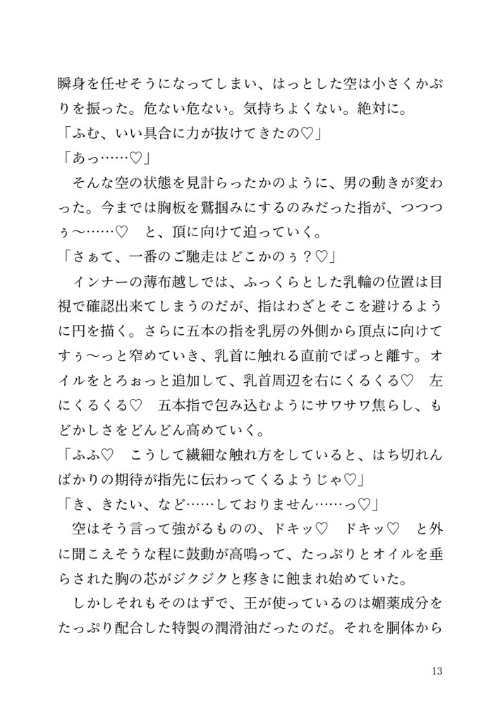 【小説】エルフ騎士様恥辱の御夜伽。絶倫ちんぽに雌伏せん エロ同人誌画像 006