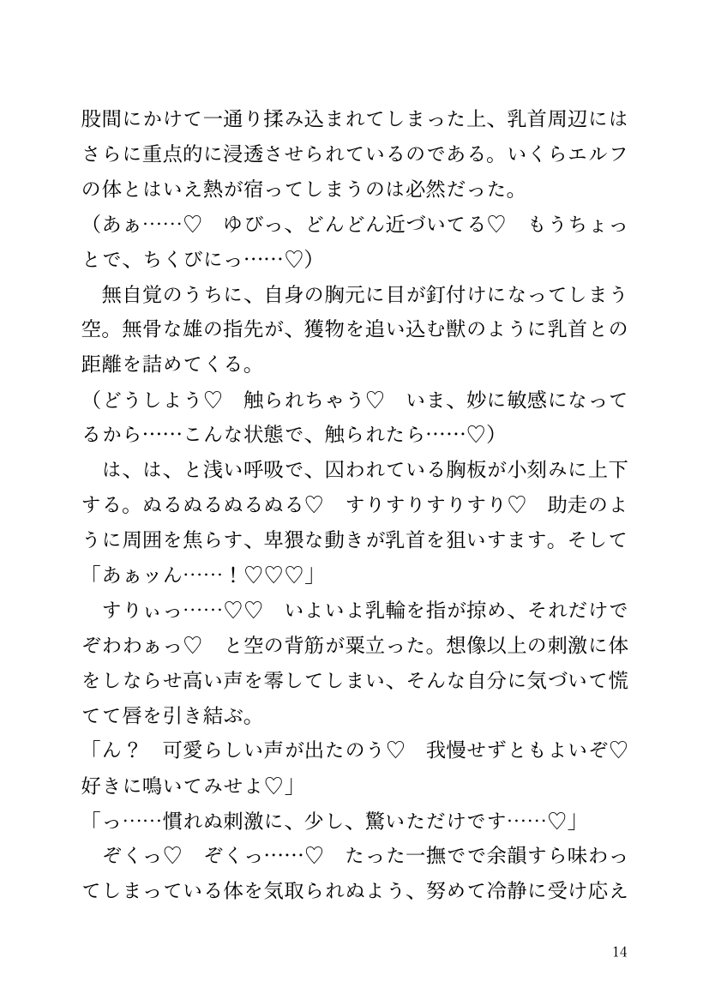 【小説】エルフ騎士様恥辱の御夜伽。絶倫ちんぽに雌伏せん エロ同人誌画像 007
