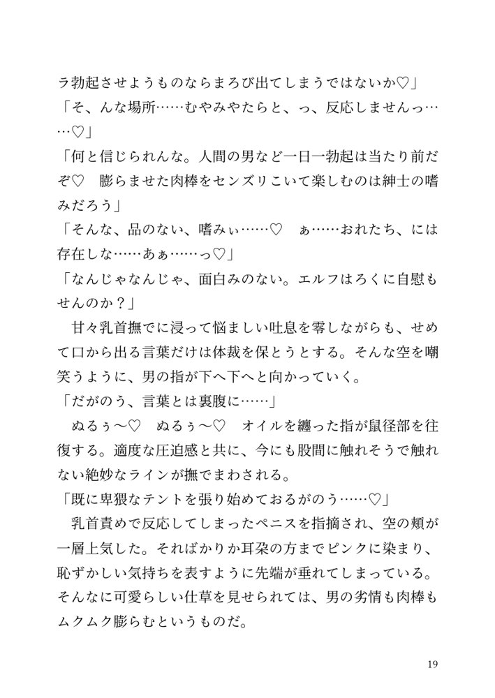 【小説】エルフ騎士様恥辱の御夜伽。絶倫ちんぽに雌伏せん エロ同人誌画像 013