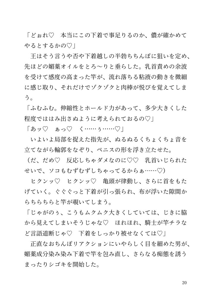 【小説】エルフ騎士様恥辱の御夜伽。絶倫ちんぽに雌伏せん エロ同人誌画像 014
