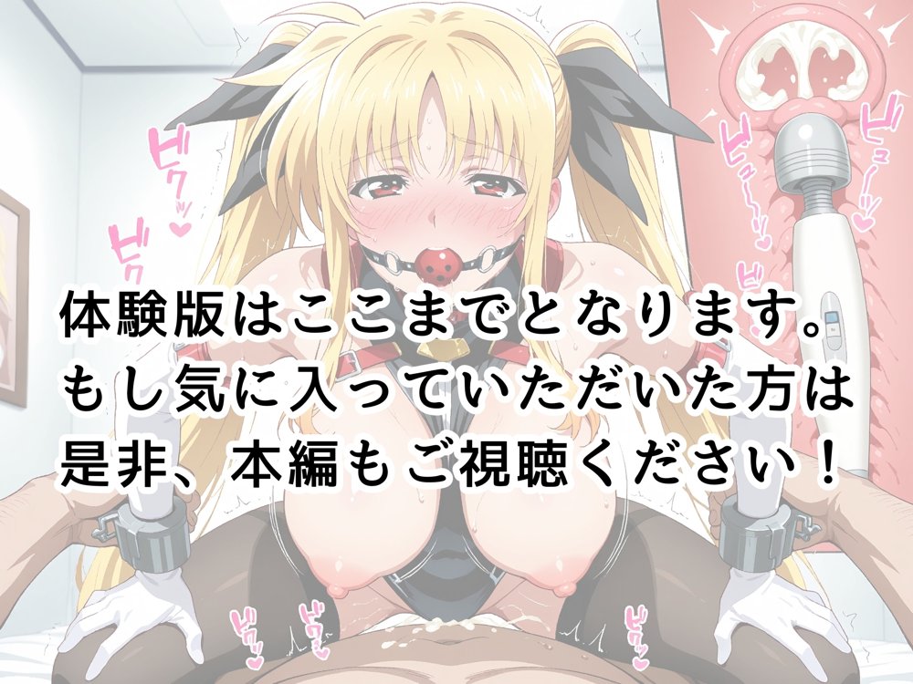 【発情ヒロイン】フェイト・テス●ロッサ  魔法少女調教計画 〜目隠し・搾乳・アナル堕ち〜 エロ同人誌画像 032