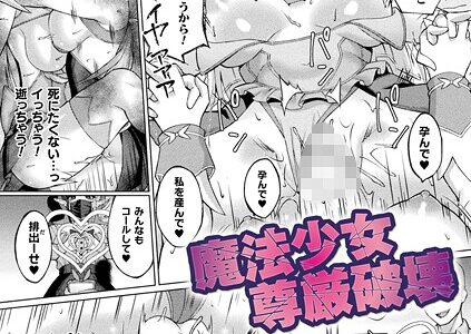魔法少女尊厳破壊【単話】