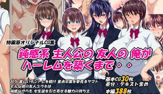 鈍感系主人公の友人の俺がハーレムを築くまで・・