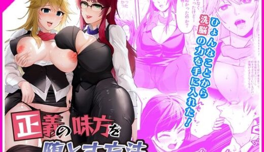 正義の味方を堕とす方法