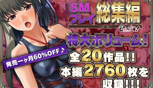 【超豪華版】SMプレイ 総集編【どろっぷす！】