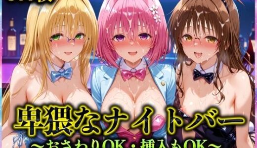 卑猥なナイトバー  〜おさわりOK・挿入もOK〜 Vol.2