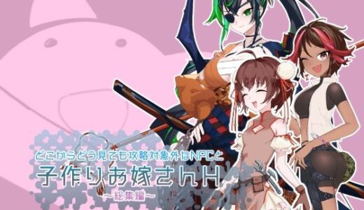 どこからどうみても攻略対象外なNPCと子作りお嫁さんH総集編